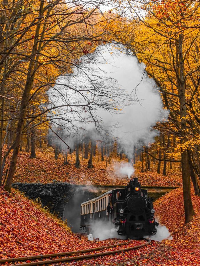 "Accidental Surrealism": 50 Unbelievable Pictures That Make One Do A Double Take (New Pics)
