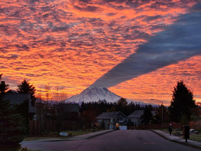 "Accidental Surrealism": 50 Unbelievable Pictures That Make One Do A Double Take (New Pics)