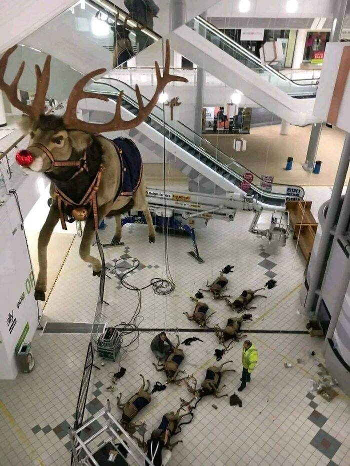 "Accidental Surrealism": 50 Unbelievable Pictures That Make One Do A Double Take (New Pics)