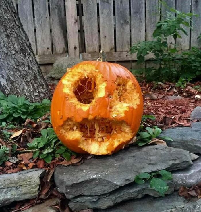 En lugar de tallar la calabaza yo mismo este año