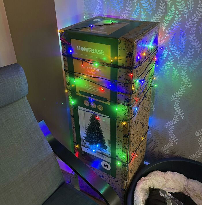 Cada año mi madre viene de visita y se queja de que no tenemos árbol de Navidad. ¿Creéis que se quejará este año?