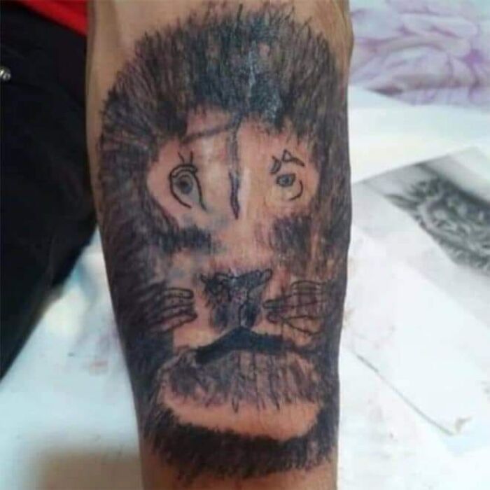 Si alguna vez viera a este león en la vida real, lo siento, pero tendría que acabar con su sufrimiento