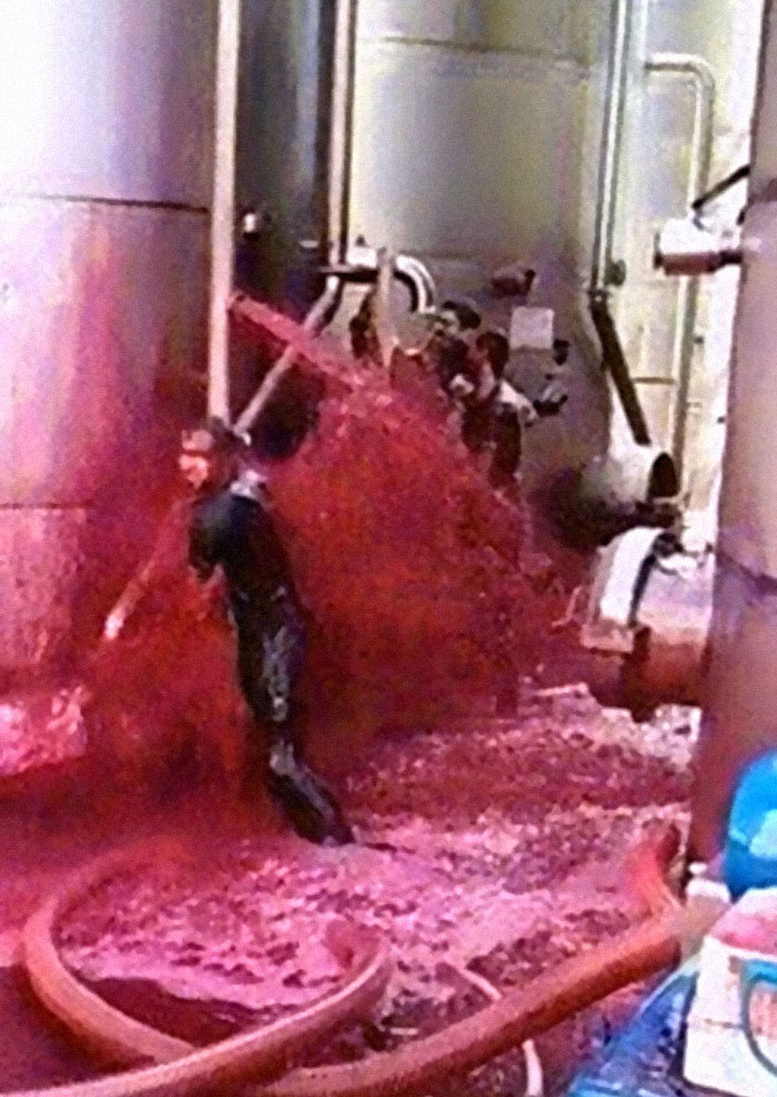 La tragedia del vino tinto