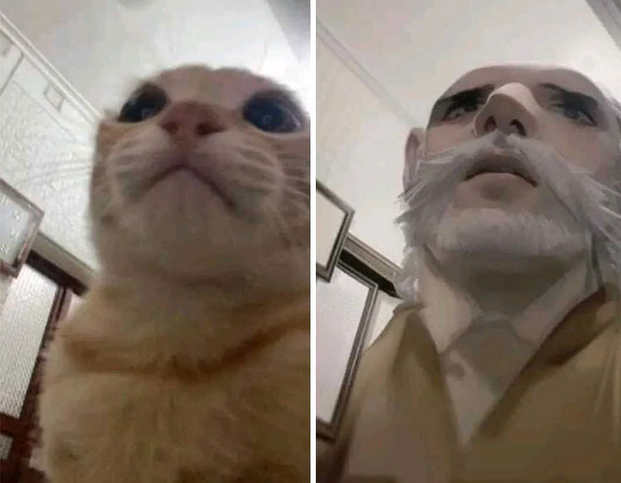 25 Times AI Got Majorly Confused By People's Pics, And The Results Were Hilarious
