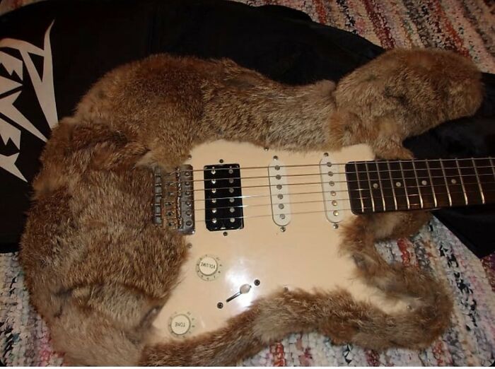 ¿Te gusta limpiar tu guitarra?