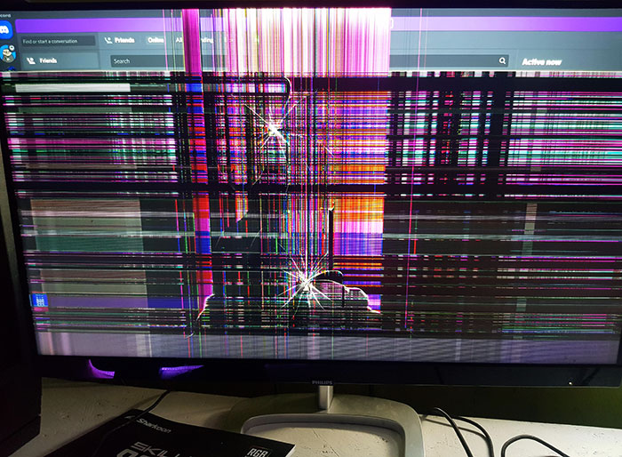 Mi madre destruyó la pantalla de mi PC porque mis perros la despertaron