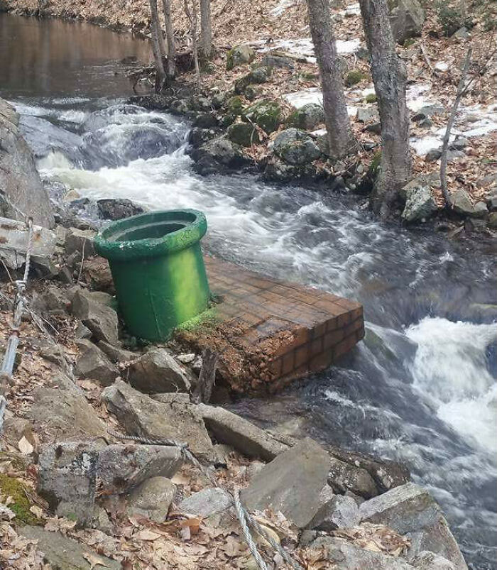 Esta tubería de Super Mario en el bosque de New Hampshire
