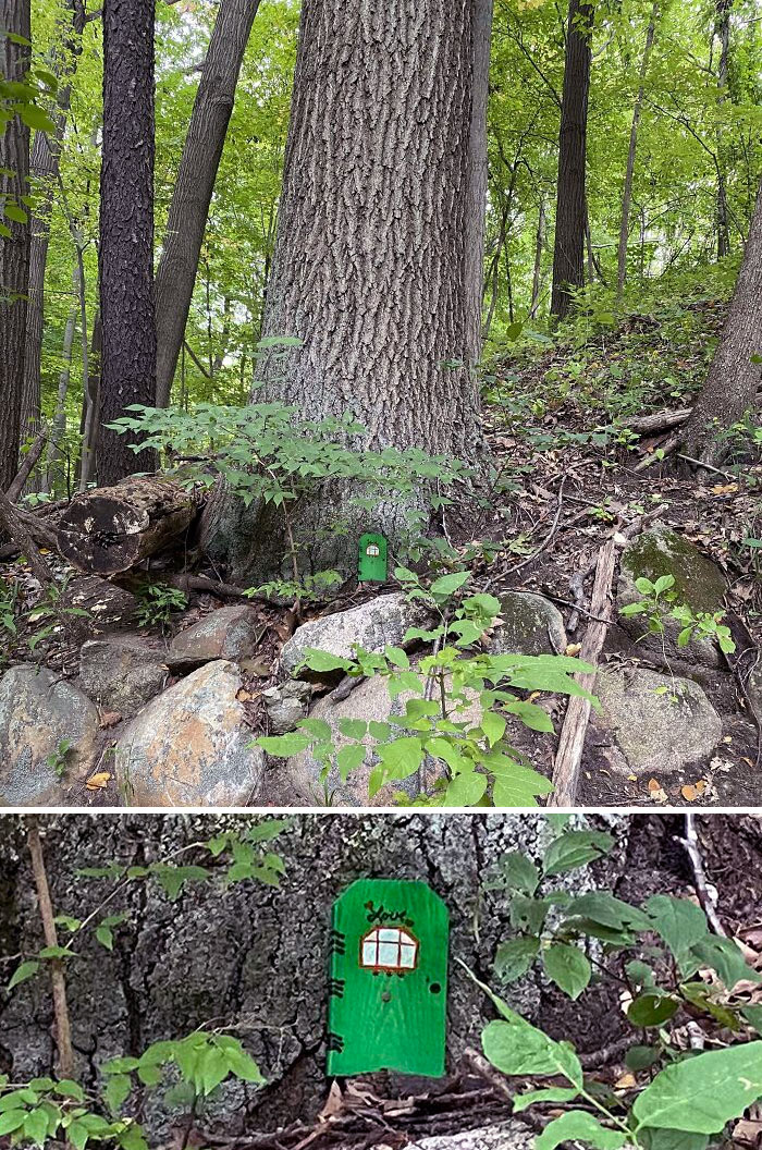 Encontré una pequeña puerta de hada en el bosque