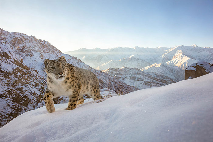 Estas son las hermosas fotografías ganadoras del concurso para fotógrafos de naturaleza del 2022