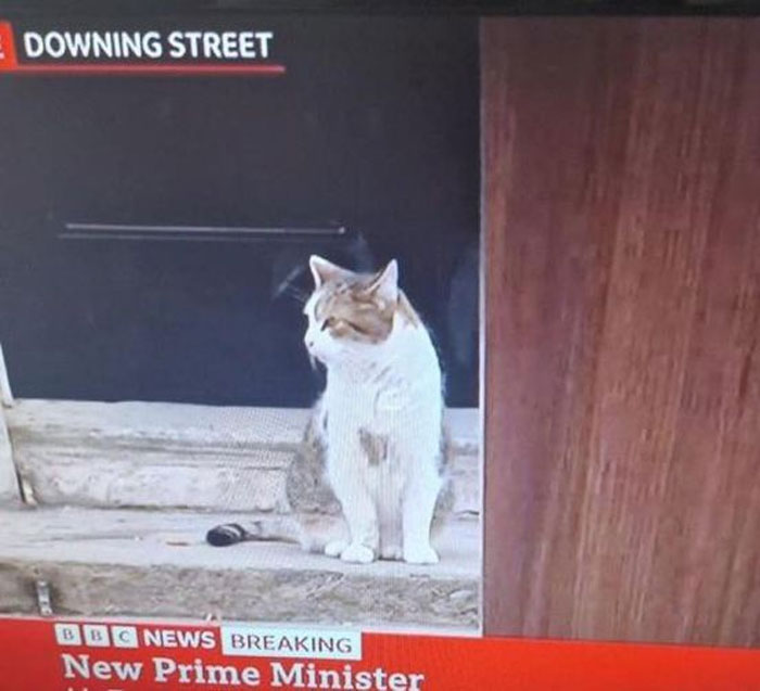 50 Hilarious Pics Of Brits Living Their Life, As Shared On This Facebook Page