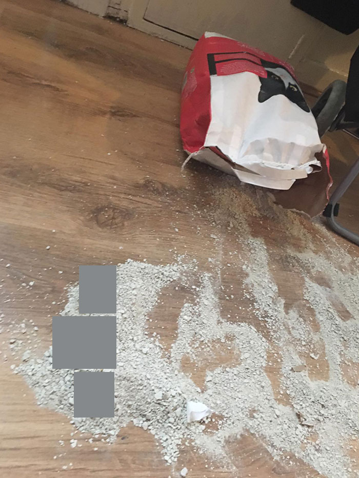 Mi gato no podía llegar a su caja de arena porque cerramos la puerta del retrete por la noche, así que él mismo derramó la bolsa de arena e hizo caca encima