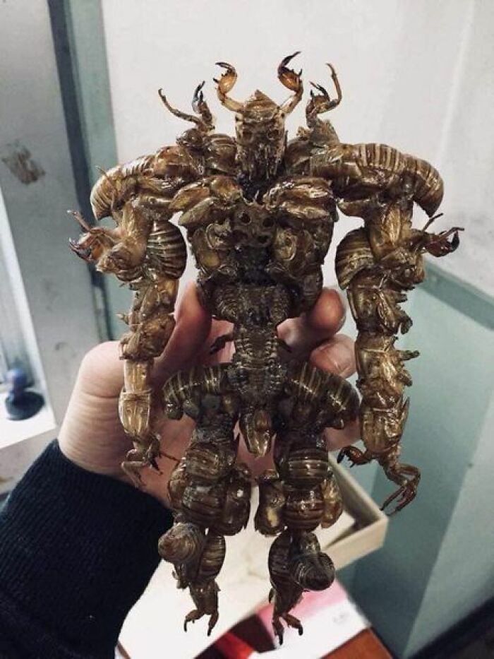 40 Times People Saw An Object With A Threatening Aura And Just Had To Share It With Others
