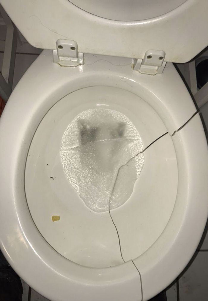 Así es el frío. Mantén la calefacción encendida si puedes
