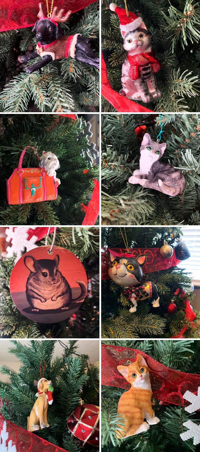 Mi familia tiene adornos en el árbol por las mascotas que hemos tenido en los últimos 10 años. Mi mamá dice que es para que puedan seguir acompañándonos en las fiestas