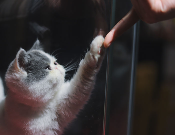 25 Historias que te harán volver a creer en el amor y en las buenas personas