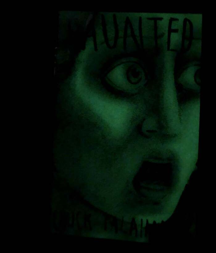 Acabo de meterme en la cama y he aprendido por las malas que la portada de este libro brilla en la oscuridad