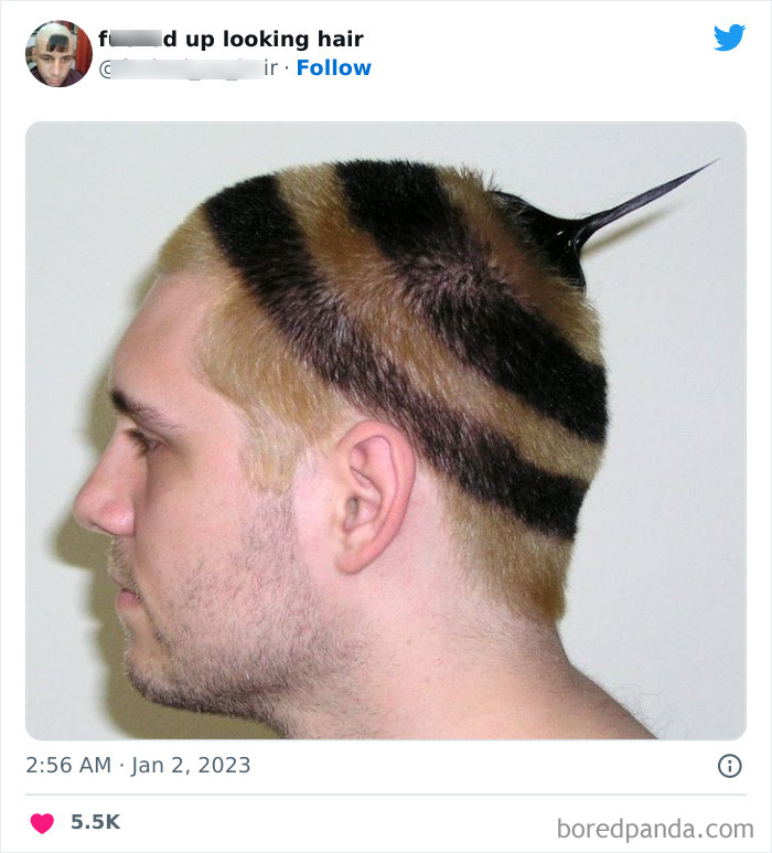 This Twitter Page Shares Photos Of ‘Effed Up Looking Hair’, And Here Are 40 Of The Most Hilarious Pics