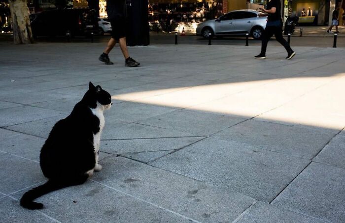 Instagram Account Shares Beautiful Photos Taken On The Street Or In Public Places (30 New Pics)