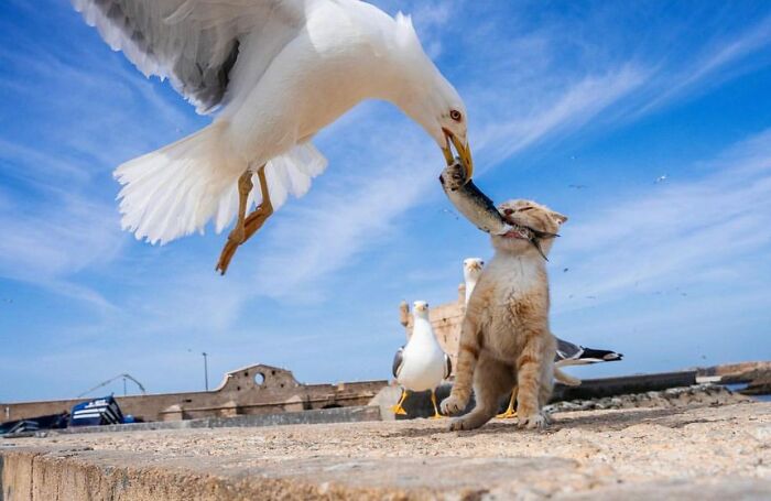 Instagram Account Shares Beautiful Photos Taken On The Street Or In Public Places (30 New Pics)