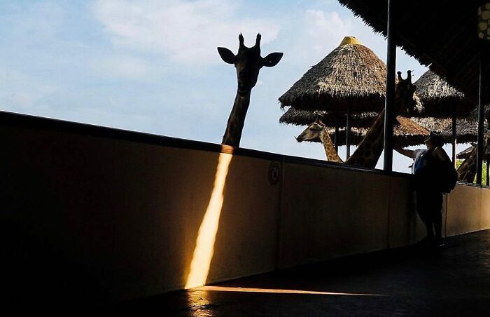 Instagram Account Shares Beautiful Photos Taken On The Street Or In Public Places (30 New Pics)