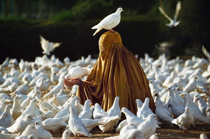 Instagram Account Shares Beautiful Photos Taken On The Street Or In Public Places (30 New Pics)
