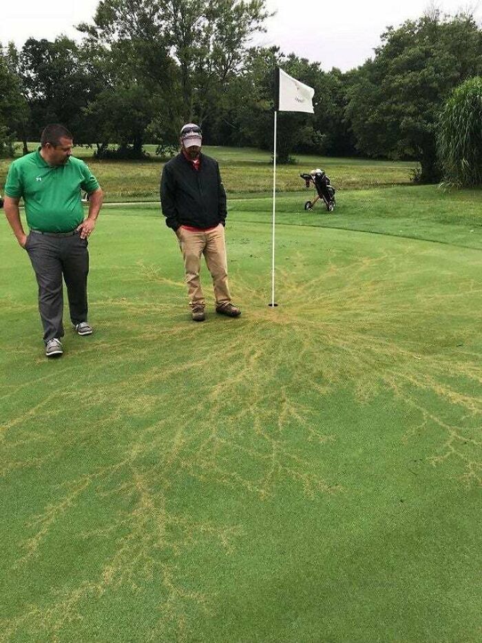 Qué ocurre cuando un rayo alcanza una bandera en un campo de golf