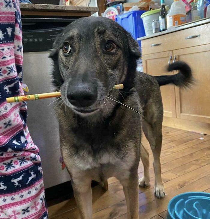 Mi niña me trajo un lápiz mientras yo dibujaba. Se veía muy linda