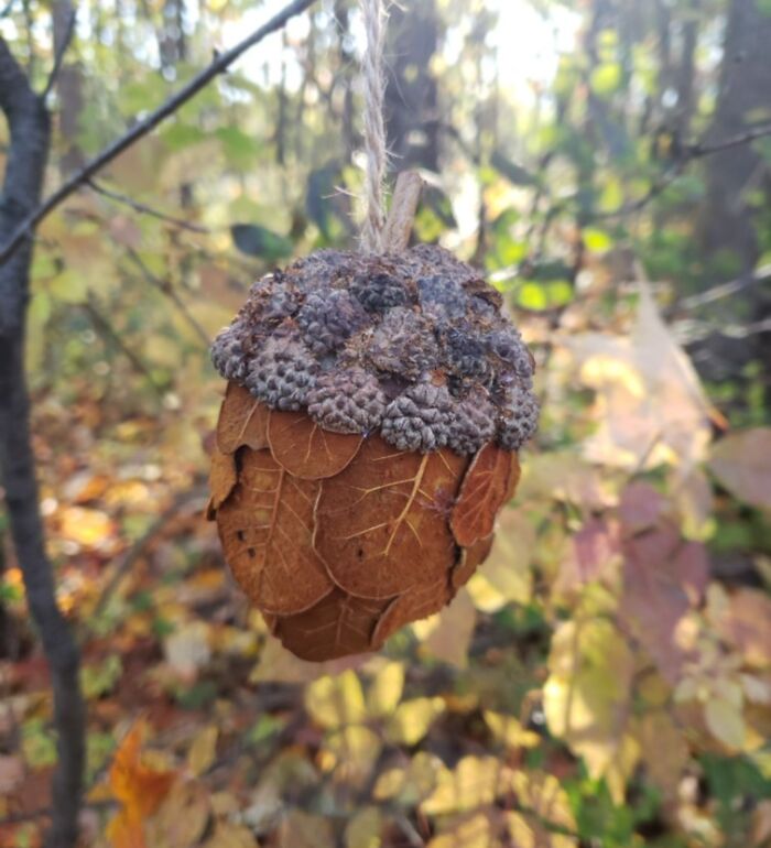 Encontré una "bellota" hecha por el hombre a base de plantas colgando en medio del bosque