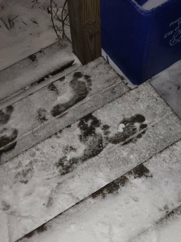 Estaba sacando la basura esta mañana y encontré huellas de pies desnudos