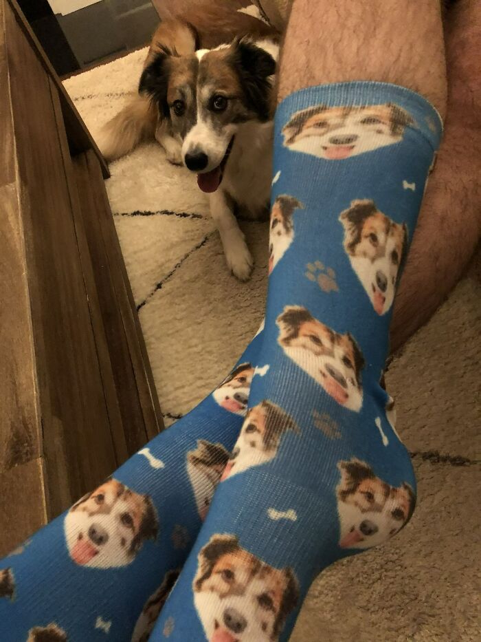 Cuando tu esposa ama más al perro que a ti, este es tu regalo de San Valentín