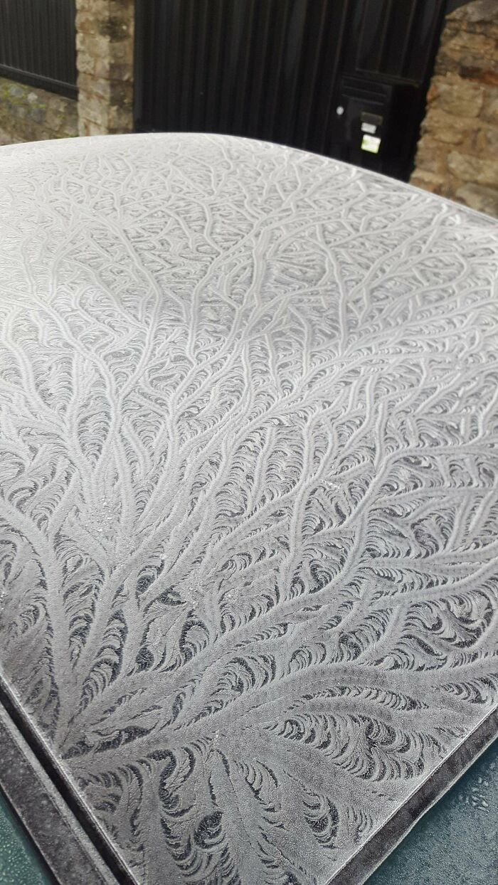 La forma en que este coche se congeló