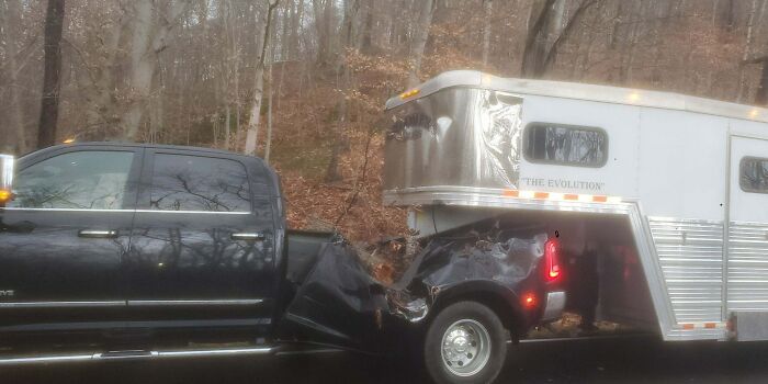 Un amigo conducía por la carretera y un árbol cayó sobre la plataforma de su camioneta, sin alcanzar a los pasajeros del asiento trasero ni a los caballos del remolque que llevaba