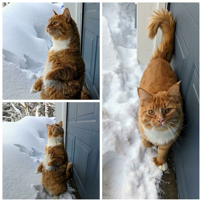 Día nevado