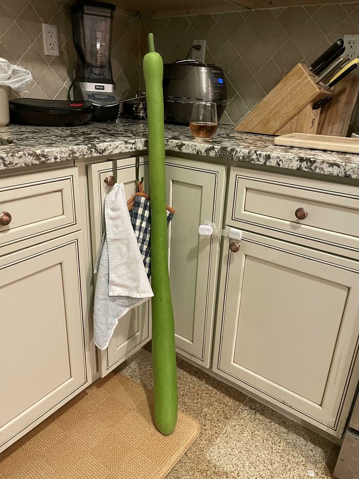 Nos las dio un vecino asiático que las cultiva en casa