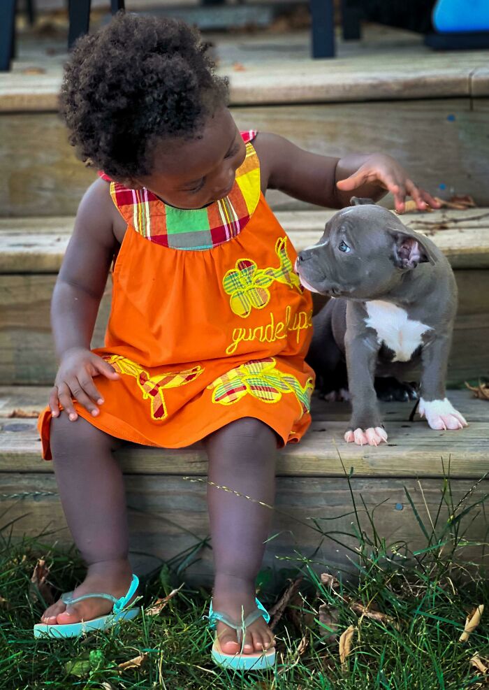 ¡Mi sobrina tiene un cachorro!