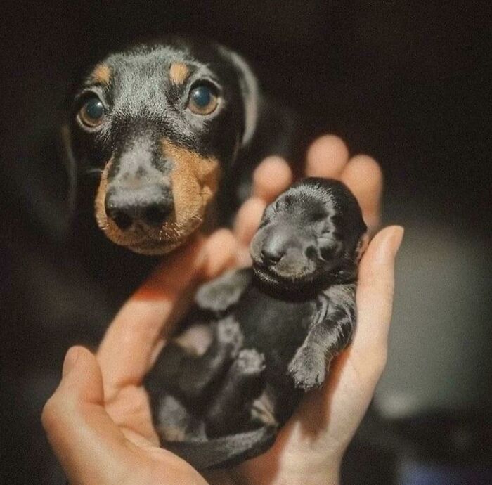 ¡¡¡Por favor, cuida de mi bebé!!!