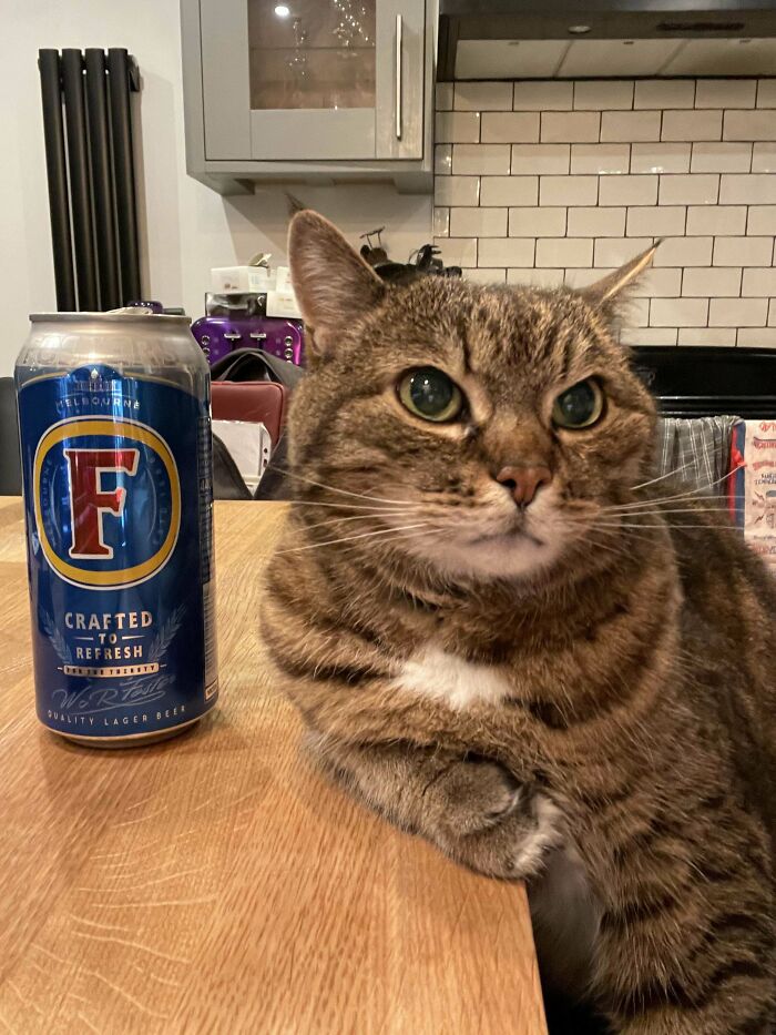 Durante la cuarentena, mi marido y yo fingíamos que íbamos a un bar y nos sentábamos a tomar algo en la barra de casa. ¡A nuestro gato le gustaba participar!