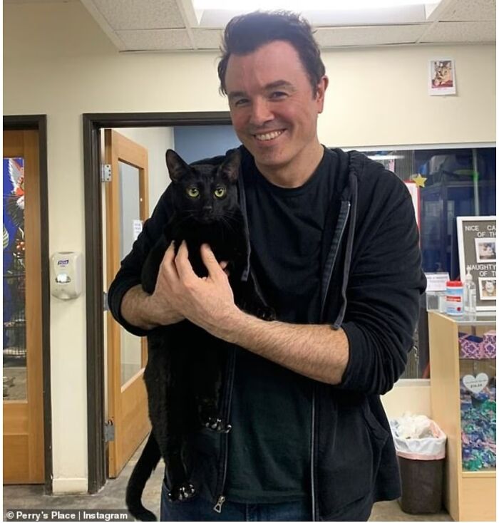 Seth ha adoptado a un gatito