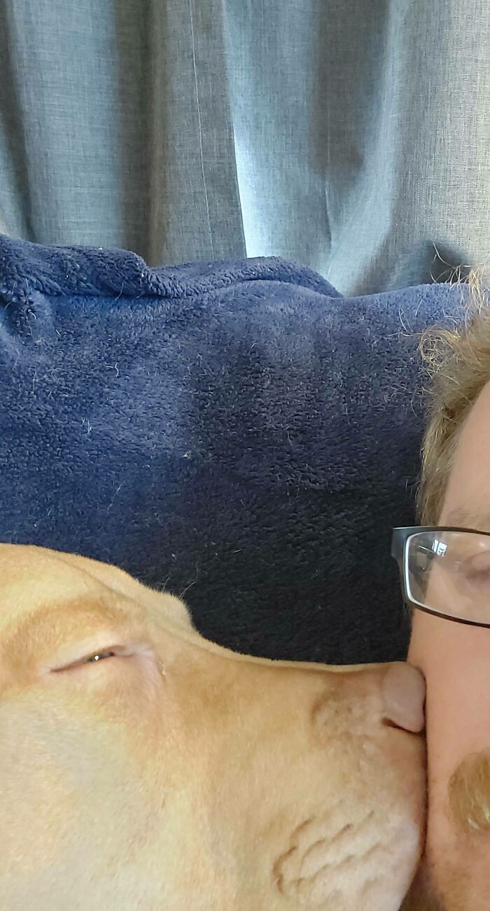 Adopté a este chico hace unas semanas y ha pasado de ser tímido conmigo a esto, pero no me importa