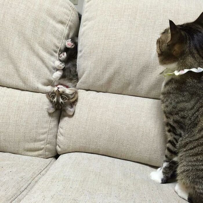 Cuando dejas a tu hijo a solas por un minuto 