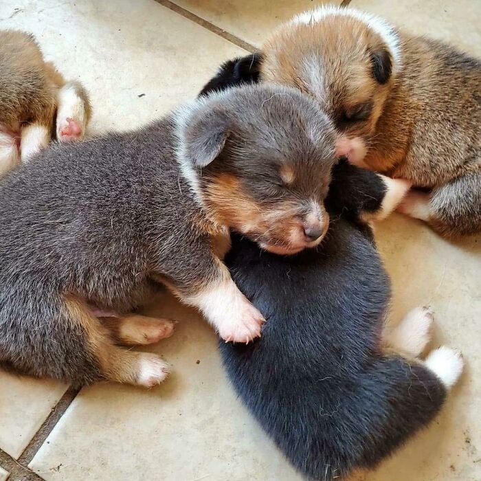 Ahora soy una almohada 