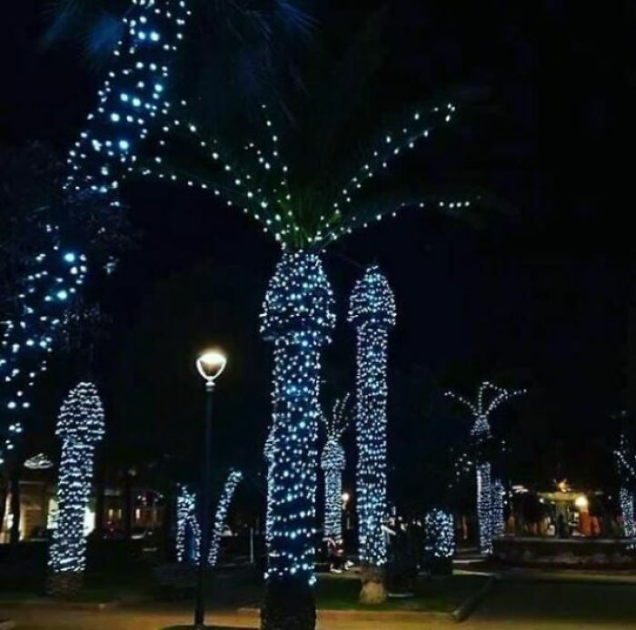 Palmeras con luces navideñas