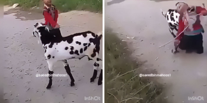 Se lo merecía