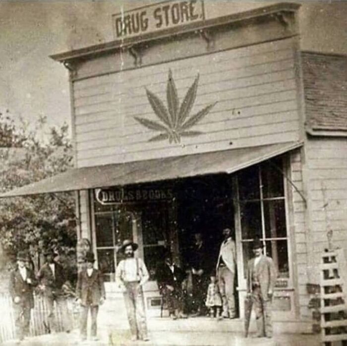 Mucha gente piensa que el cannabis es una nueva tendencia, pero la verdad es que se remonta a 1800