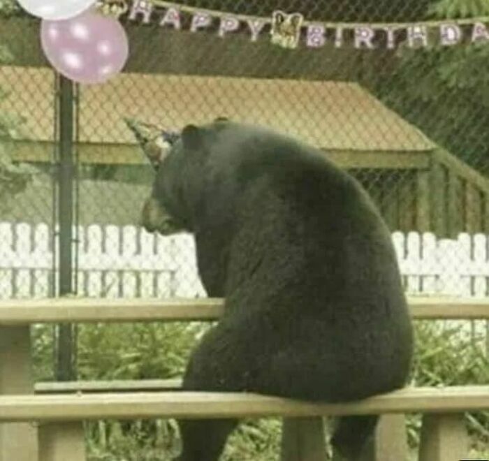 50 Hilarious And Bizarre Pics Of Animals “Where They Shouldn’t Be”