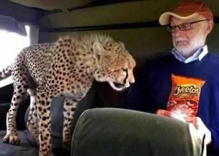 50 Hilarious And Bizarre Pics Of Animals “Where They Shouldn’t Be”