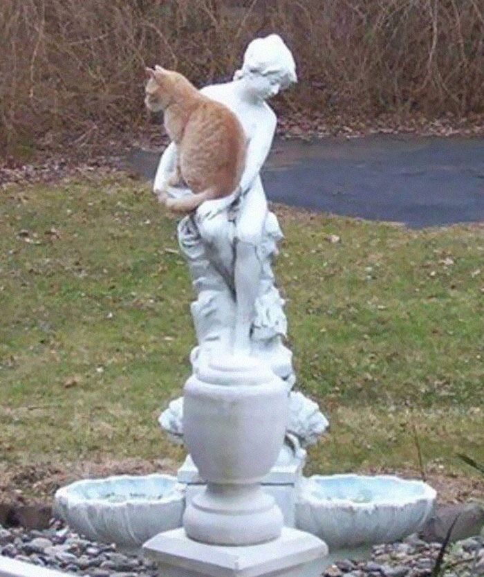 50 Hilarious And Bizarre Pics Of Animals “Where They Shouldn’t Be”