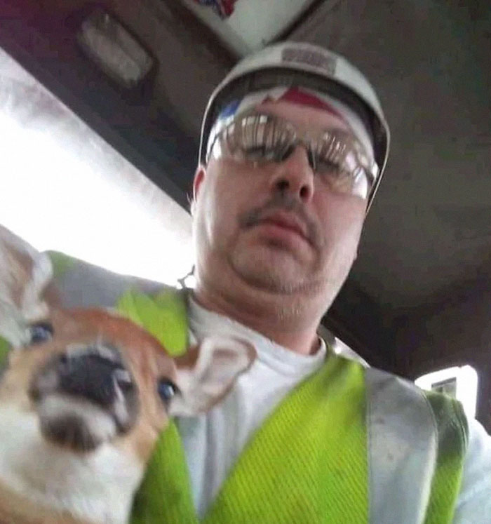 50 Hilarious And Bizarre Pics Of Animals “Where They Shouldn’t Be”