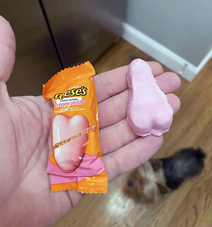 El hijo de mi novia nos compró dulces por San Valentín. No sé qué mensaje intenta transmitirnos
