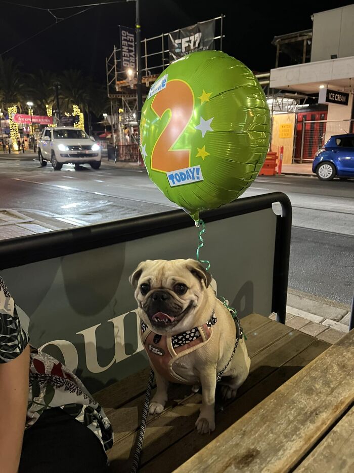 No entendí su nombre... Demasiado centrado en desearle feliz cumpleaños
